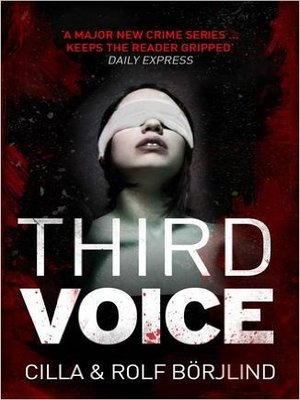 cover image of Third Voice